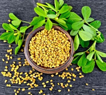 Fenugreek Powder